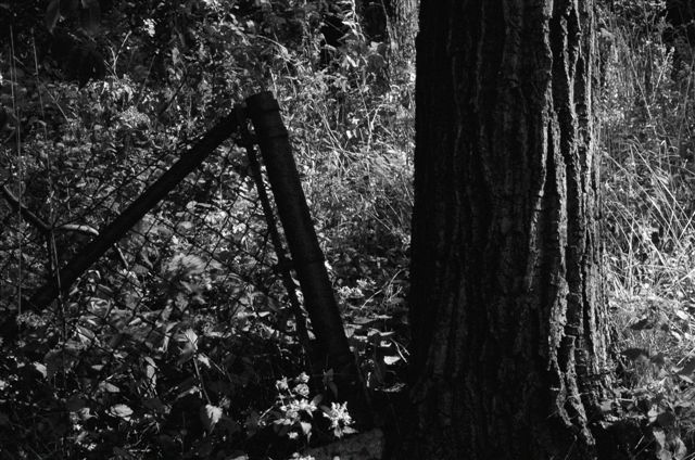 _DSC4084%20(1)