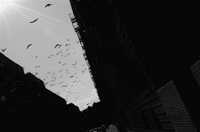 _DSC4157%20(1)