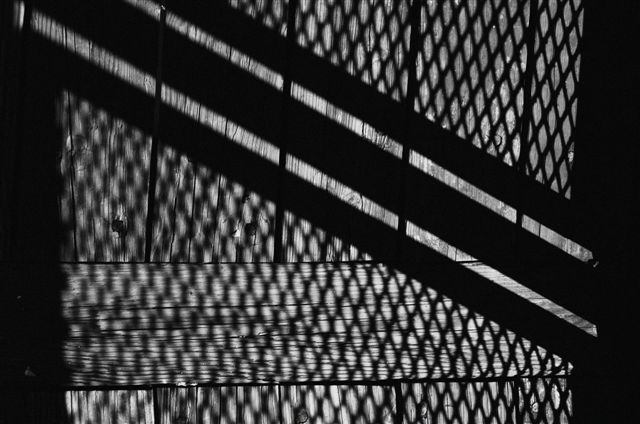 _DSC4262%20(1)