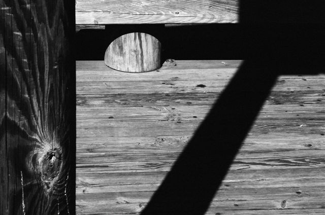_DSC4264%20(1)
