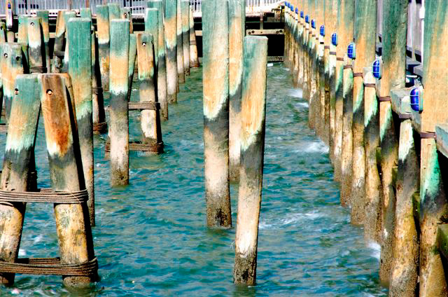 _DSC4270%20(1)
