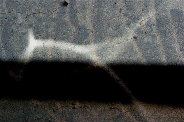 _DSC4300%20(1)
