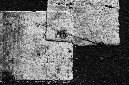 _DSC3776%20(1)