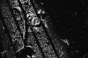 _DSC3806%20(1)