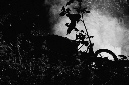 _DSC3836%20(1)