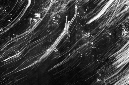 _DSC3842%20(1)
