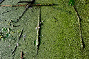 _DSC3873%20(1)