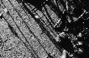 _DSC3877%20(1)