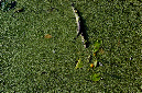 _DSC3881%20(1)