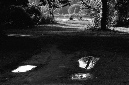 _DSC3890%20(1)