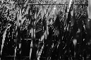 _DSC3901%20(1)