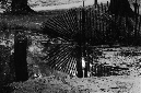 _DSC3912%20(1)
