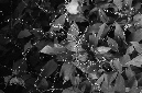 _DSC3953%20(1)
