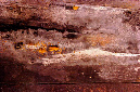 _DSC3962%20(1)
