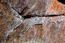 _DSC4001%20(1)