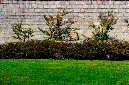 _DSC4039%20(1)