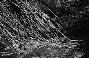 _DSC4049%20(1)