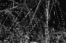 _DSC4065%20(1)
