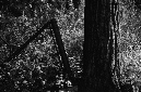 _DSC4084%20(1)
