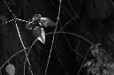 _DSC4103%20(1)
