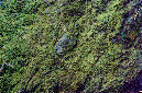 _DSC4126%20(1)