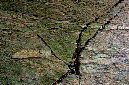 _DSC4130%20(1)