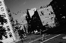 _DSC4151%20(1)