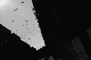 _DSC4157%20(1)
