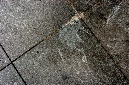 _DSC4199%20(1)