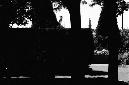 _DSC4203%20(1)
