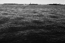 _DSC4218%20(1)