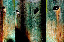_DSC4248%20(1)