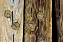 _DSC4252%20(1)