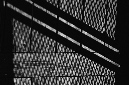 _DSC4262%20(1)