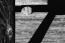 _DSC4264%20(1)