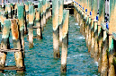 _DSC4270%20(1)