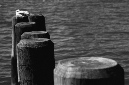 _DSC4277%20(1)