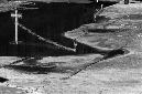 _DSC4312%20(1)