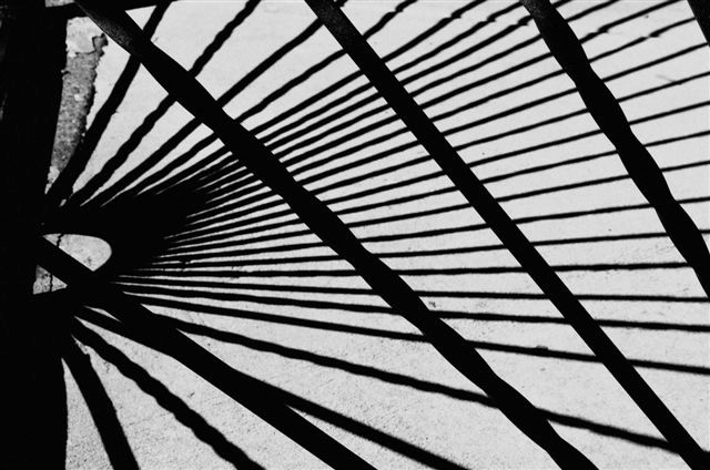 _DSC4331%20(1)