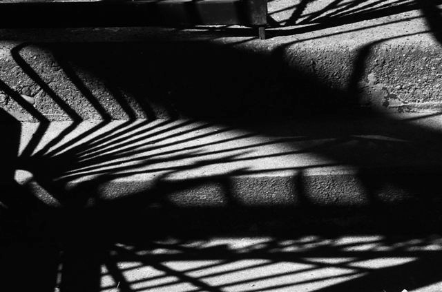_DSC4333%20(1)