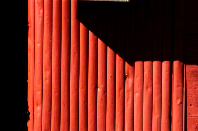 _DSC4355%20(1)