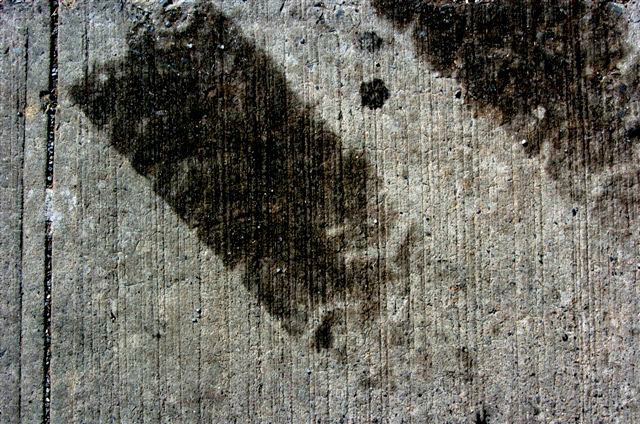 _DSC4358%20(1)