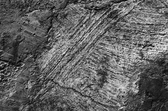 _DSC4438%20(1)