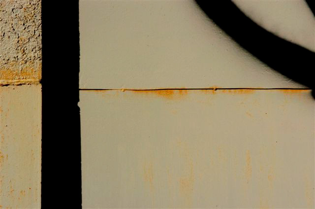_DSC4441%20(1)