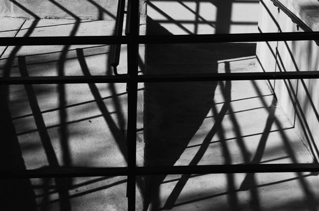 _DSC4461%20(1)
