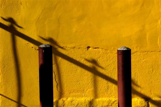 _DSC4517%20(1)