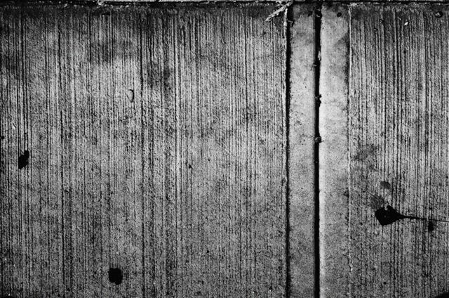 _DSC4636%20(1)