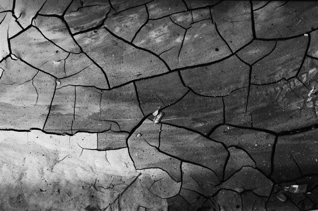 _DSC4694%20(1)