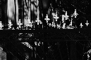 _DSC4327%20(1)