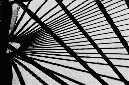 _DSC4331%20(1)